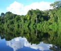 Amazonas Colombia 