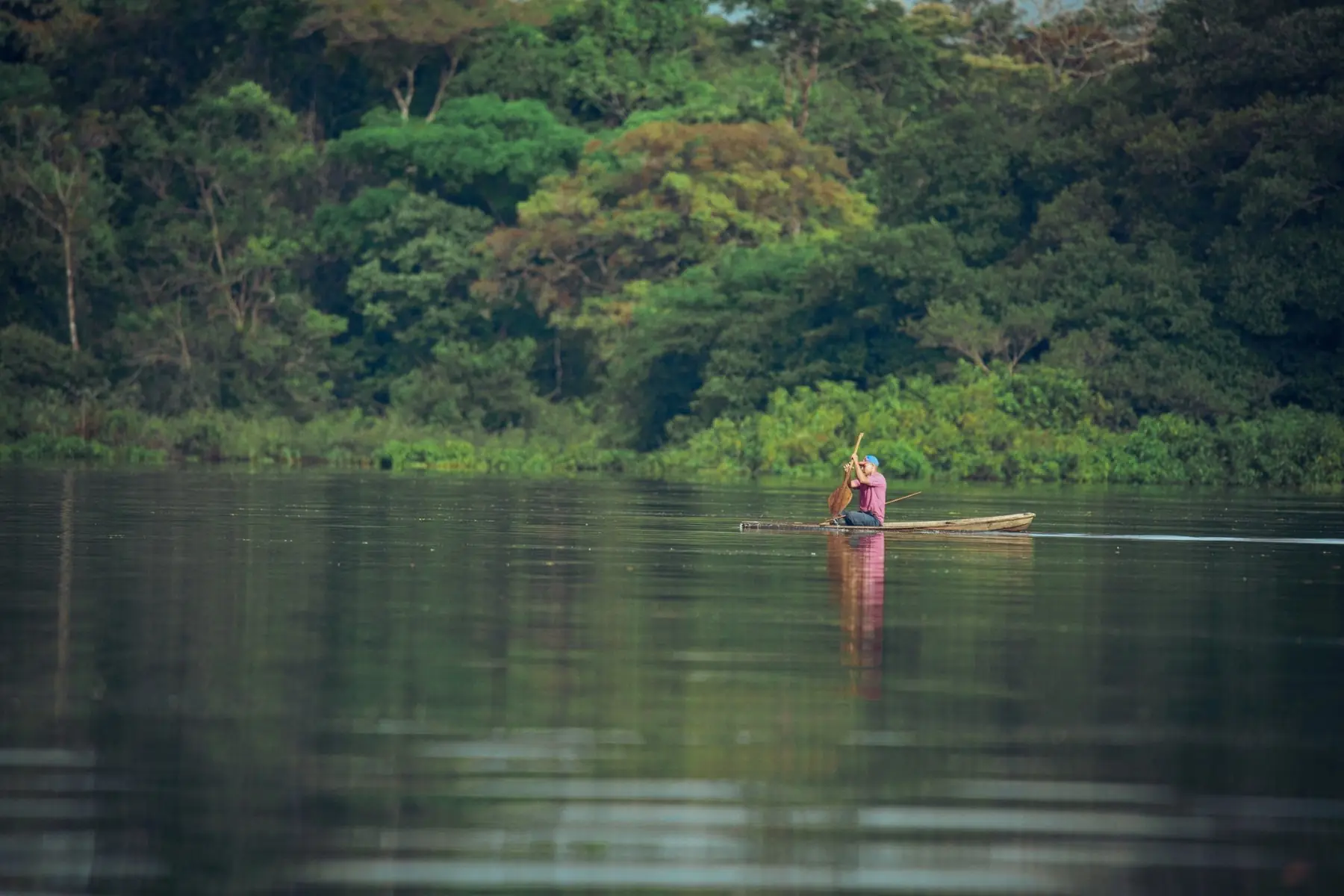 Amazon river landscape near Leticia in the Colombian Amazon